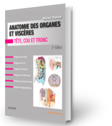Image de Anatomie des organes et viscères